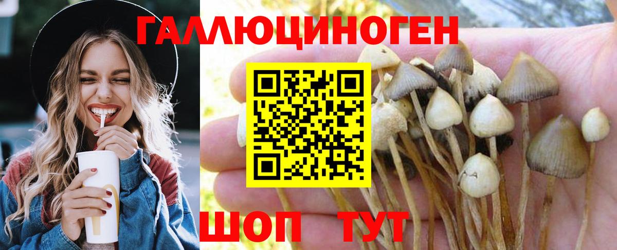 Псилоцибиновые грибы MAGIC MUSHROOMS Егорьевск